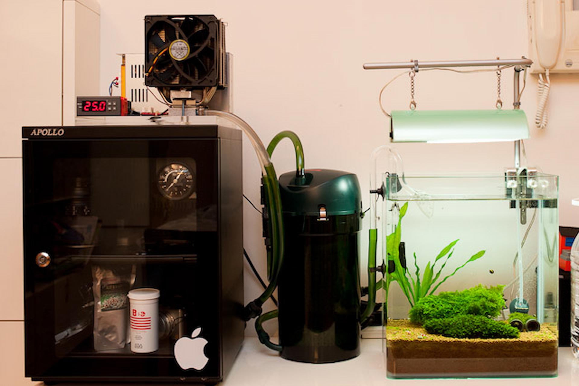 Home Aquariums